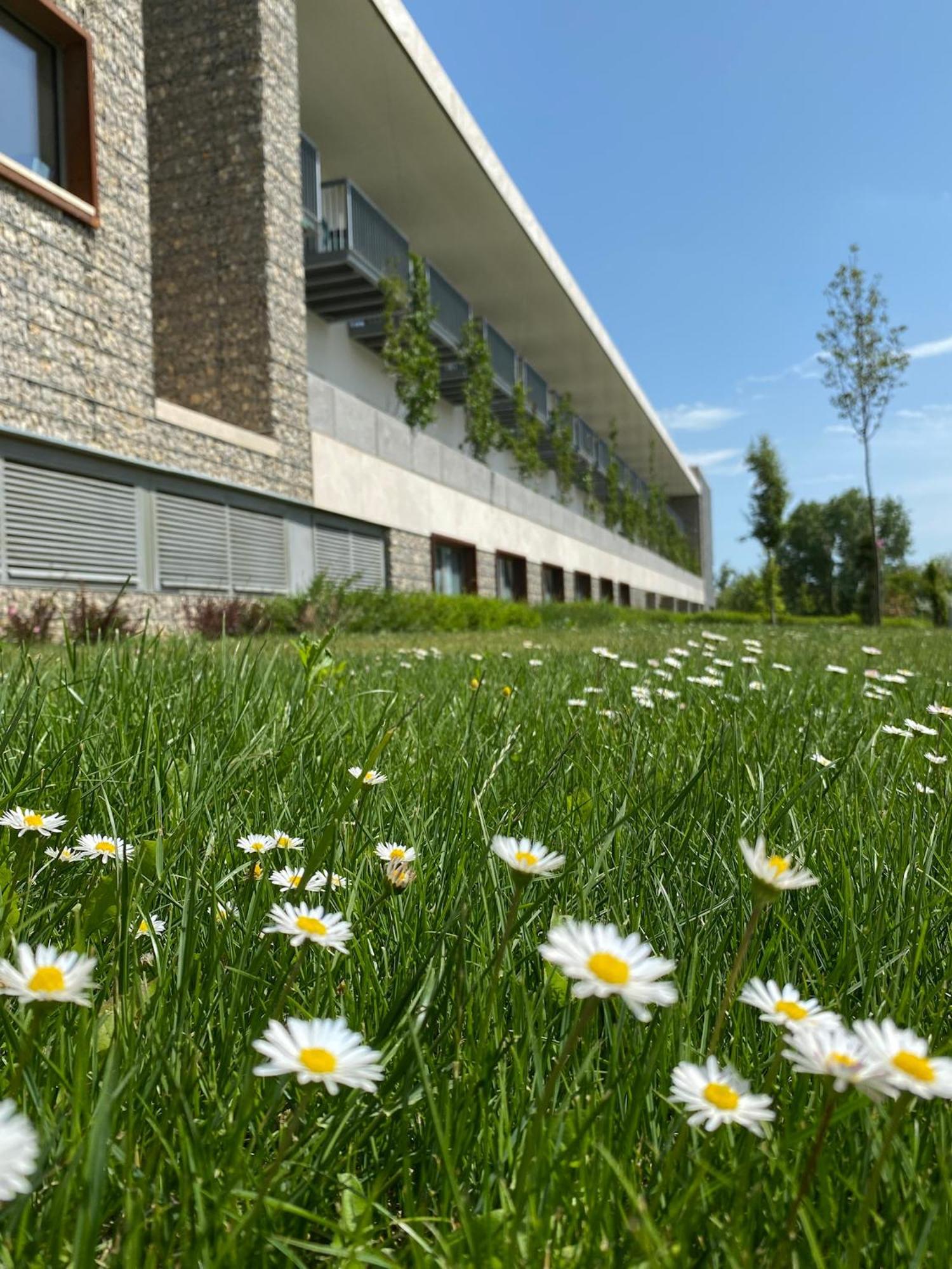 Akademia Hotel Balatonfured Exterior photo